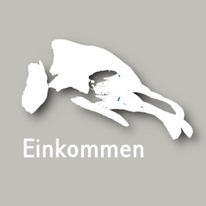 Icon Einkommen in Madagaskar