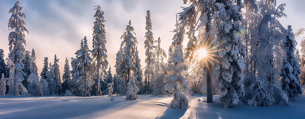 Schneelandschaft mit untergehender Sonne