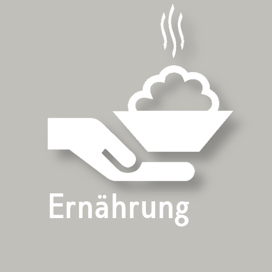 Icon Ernährung