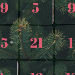 Ny Hary Adventskalender 2024